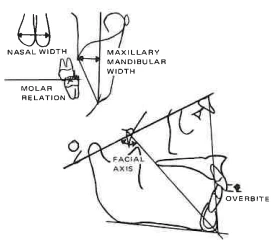 Manual Illustration